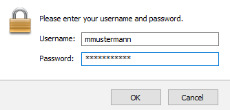 Benutzername und Kennwort eingeben